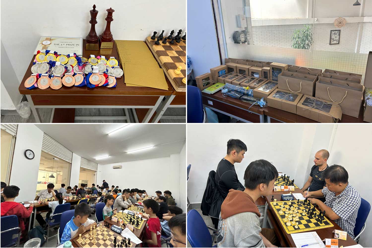 hcmchess 10